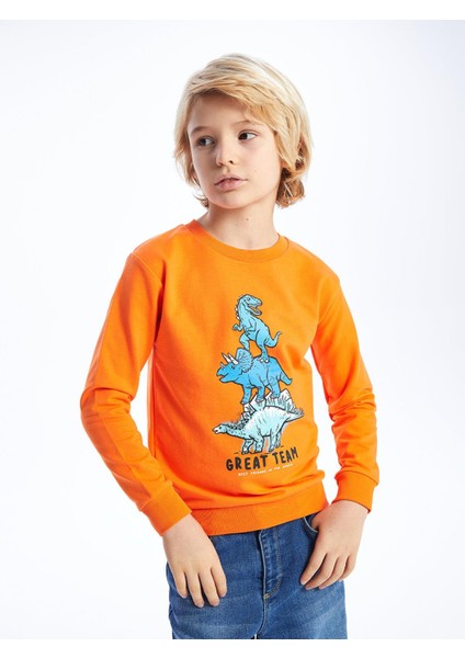 Lcw Kids Bisiklet Yaka Baskılı Uzun Kollu Erkek Çocuk Sweatshirt fiyatları