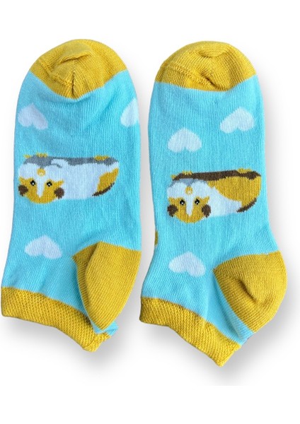Tekli Bebe Mavisi Renkli Esnek Nem Alabilen Pamuklu Hamster Desenli 3-5 Yaş Kız Çocuk Patik Çorap