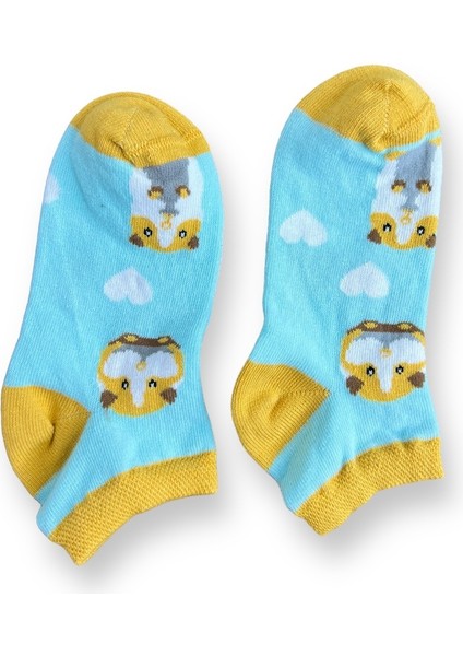 Tekli Bebe Mavisi Renkli Esnek Nem Alabilen Pamuklu Hamster Desenli 3-5 Yaş Kız Çocuk Patik Çorap
