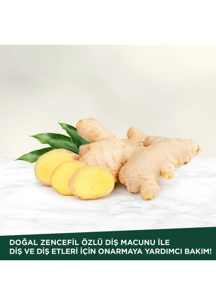Doğal Zencefil Özlü Diş Macunu 90 ml indirimleri