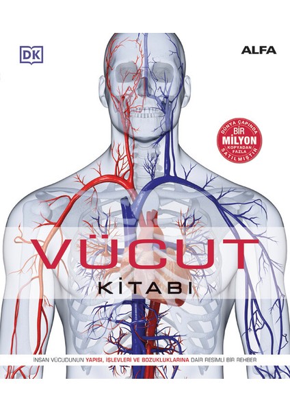 Vücut Kitabı (Ciltli) - Steve Parker