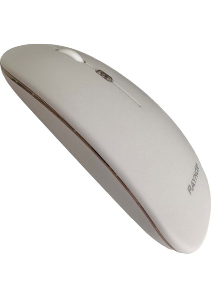 RX-M208 Kablosuz Bluetooth ve USB Mouse