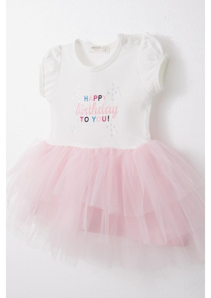 Kız Bebek Elbise Doğum Günü Temalı Yazı Nakışlı 6 Ay-2 Yaş, Beyaz modelleri