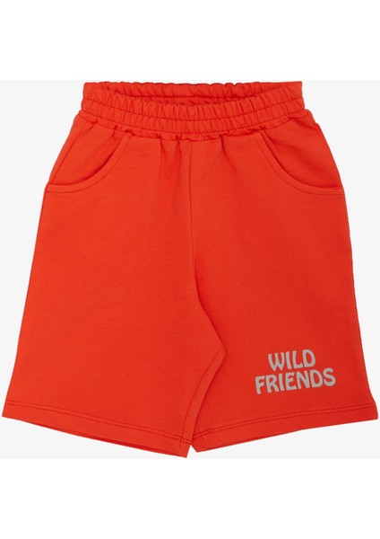 Erkek Bebek Şortlu Takım Güçlü Arkadaşlar Temalı 9 Ay-3 Yaş, Açık Gri Melanj