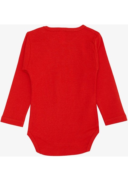 Kız Bebek Çıtçıtlı Zıbın Body Uğur Böceği Baskılı Çiçekli 9 Ay-3 Yaş, Narçiçeği