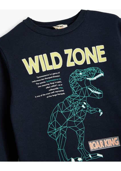 Dinozorlu Sweatshirt Bisiklet Yaka Uzun Kollu modelleri