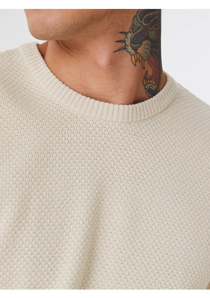 Erkek Kazak Taş LF2030179 fiyatları