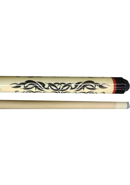 Vega Amerikan Renkli Desenli 2 Bilardo Istakası
