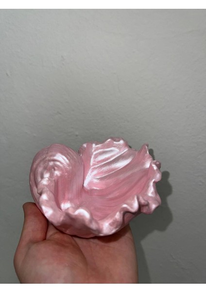 Parlak Pembe İstiridye Takı Tabağı