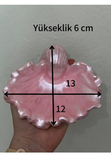 Parlak Pembe İstiridye Takı Tabağı