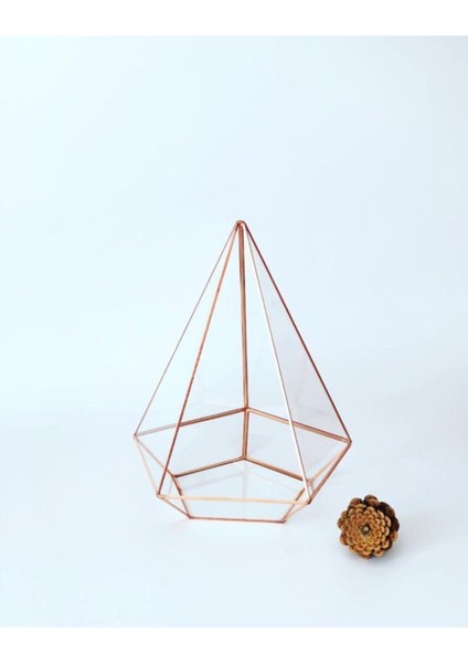 Dekoratif Teraryum Geometrik Cam Fanus