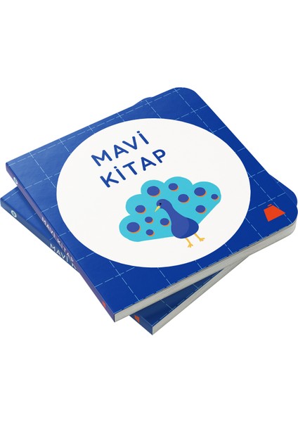 Mavi Kitap