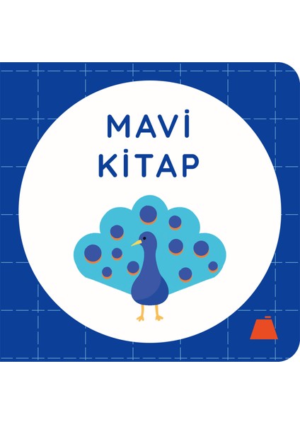 Mavi Kitap