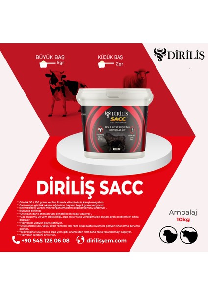 Sacc Saf Canlı Maya Yem Katkı 10 kg