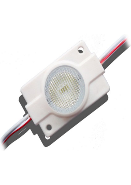 Demir Led Tek Lensli Modül LED Beyaz 1.5W (10 Adet)