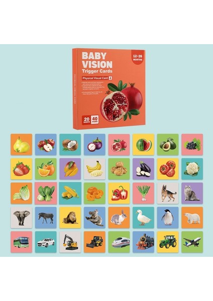 Gzplz-20 Adet / Kitap Öğrenme Kartı 4'lü Sipariş Gerçek Nesne (Yurt Dışından)