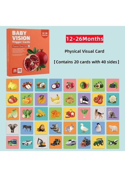 Gzplz-20 Adet / Kitap Öğrenme Kartı 4'lü Sipariş Gerçek Nesne (Yurt Dışından)