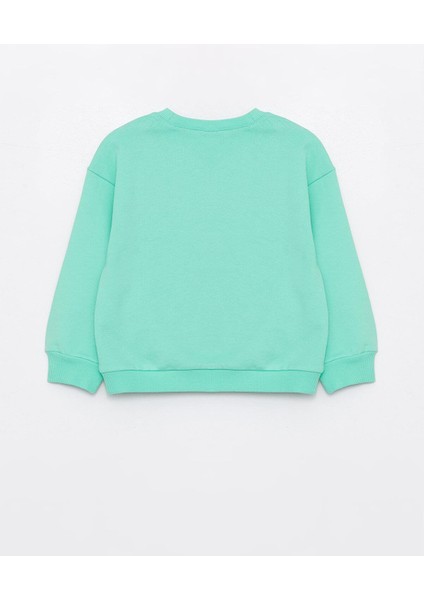 Baby Bisiklet Yaka Uzun Kollu Kız Bebek Sweatshirt ve Eşofman Alt 2'li Takım modelleri