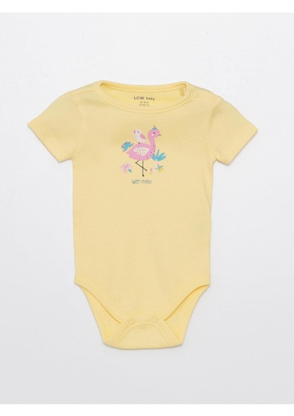 Baby Bisiklet Yaka Kısa Kollu Kız Bebek Çıtçıtlı Body ve Pantolon 2'li Takım fiyatları