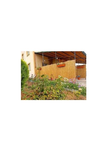 Doğal Kamış Hasır Çit 120 Cm X 2 Metre Balkon Çiti Hasır Bambu Çit Bahçe Çiti Ve Gölgelik