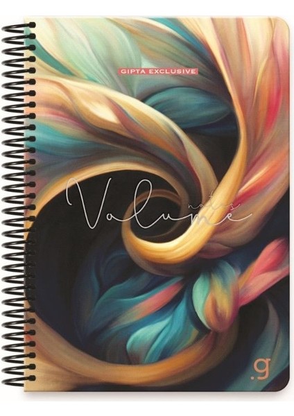 Exclusive Volume Spiralli Mavi Sert Kapak 100 Yaprak 17*24 Çizgili Defter
