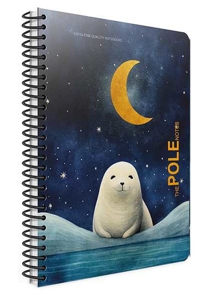 Pole Notes Spiralli Fok Plastik Kapak 80 Yaprak 17*24 Çizgili Defter