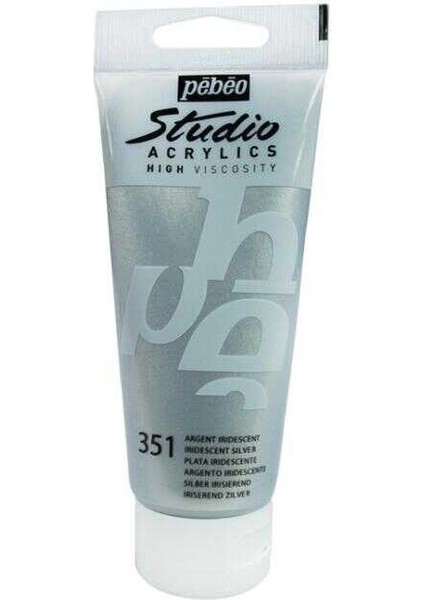 Studıo Akrilik Boya 100 ml Iridescent Silver
