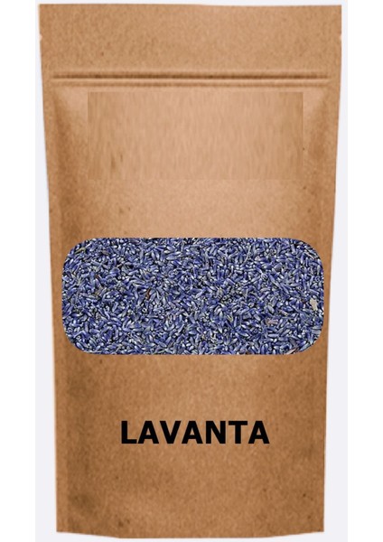 Lavanta