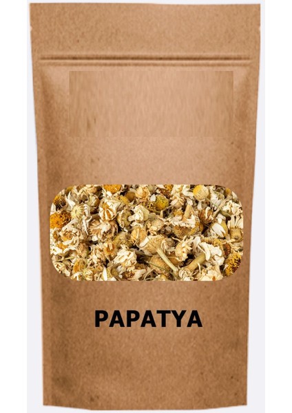 Papatya