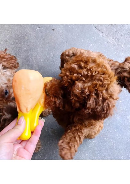 Köpekler Için Diş Kaşıma Eğitici Eğlenceli Sesli Oyuncak Tavuk Butu