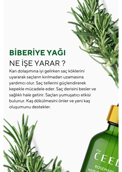 The Ceel Biberiye Şampuanı ve Biberiye Yağı Saç Bakım Seti