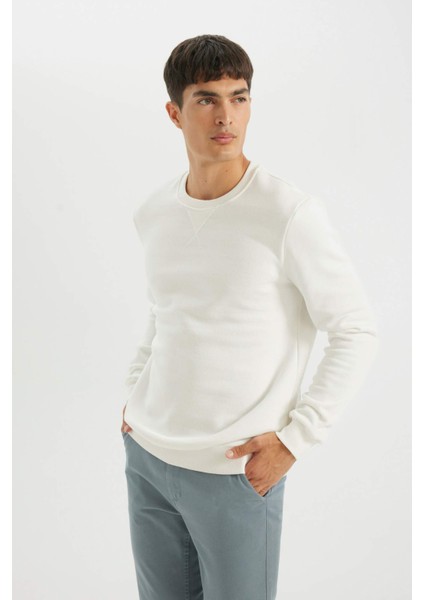 Regular Fit Bisiklet Yaka Kalın Basic Düz Sweatshirt T3777AZ24AU