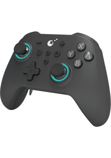 Kingkong3 Max Kablosuz Gamepad Siyah