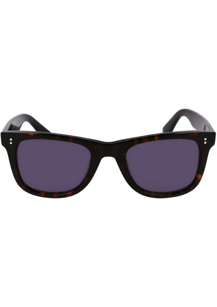 L6036S 230 Dark Havana 50 22 150 3 Güneş Gözlüğü