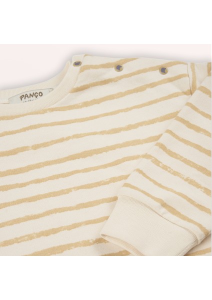 Erkek Bebek Çizgi Desenli Sweatshirt