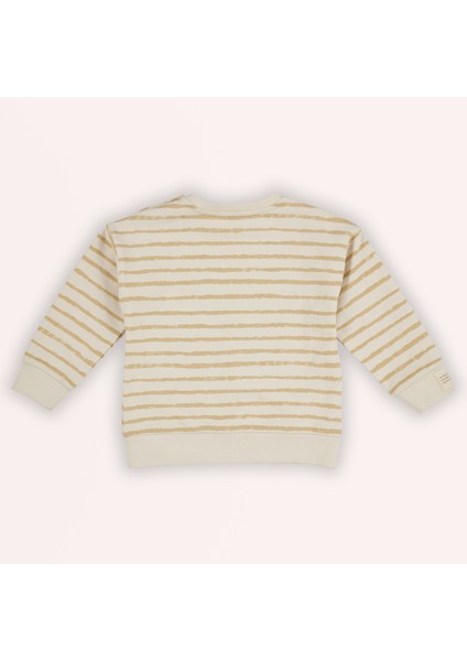 Erkek Bebek Çizgi Desenli Sweatshirt