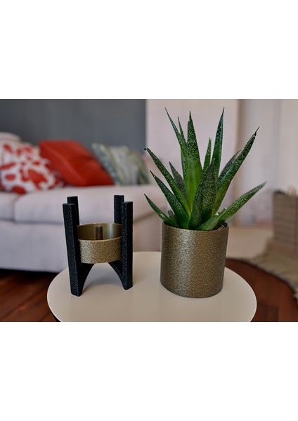 Saksı: Şık ve Modern Fuzzy