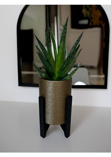 Saksı: Şık ve Modern Fuzzy