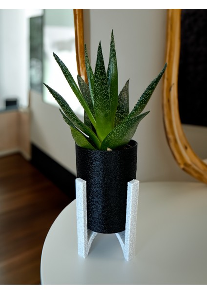 Saksı: Şık ve Modern Fuzzy