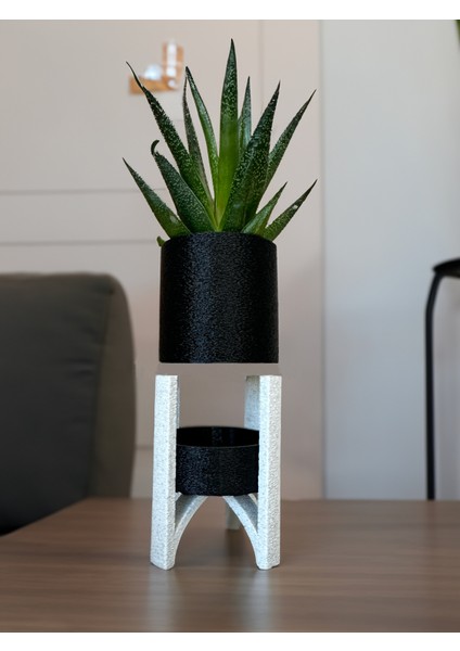 Saksı: Şık ve Modern Fuzzy