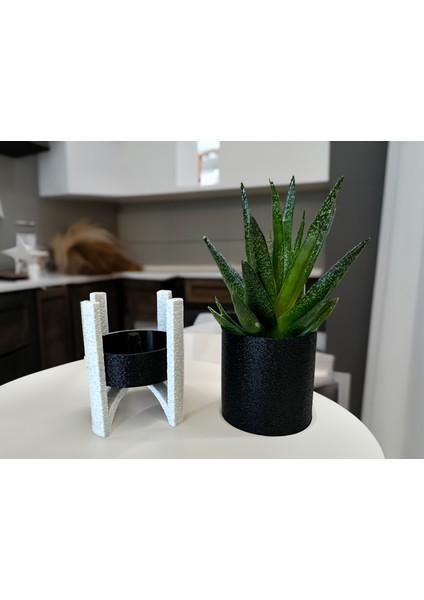Saksı: Şık ve Modern Fuzzy