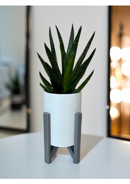 Saksı: Şık ve Modern Fuzzy fiyatları