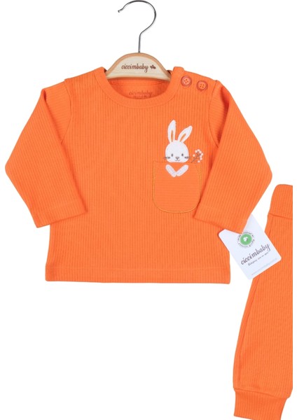 3-6-9-12 Ay Kız Bebek Takımı Cepli Tavlan Nakışlı %100 Pamuk 2'Li Turuncu modelleri