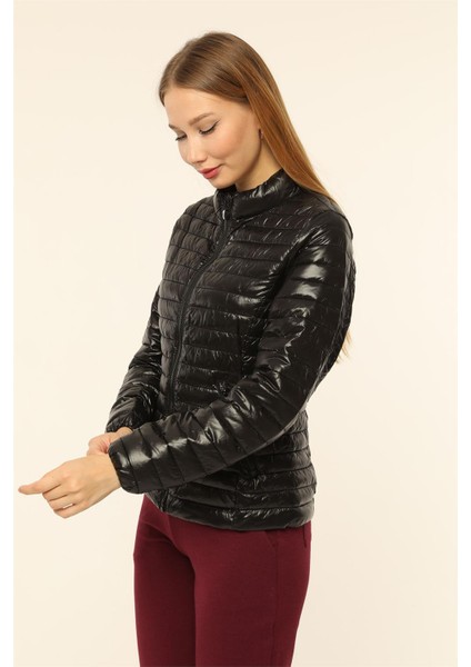Puffer Mont