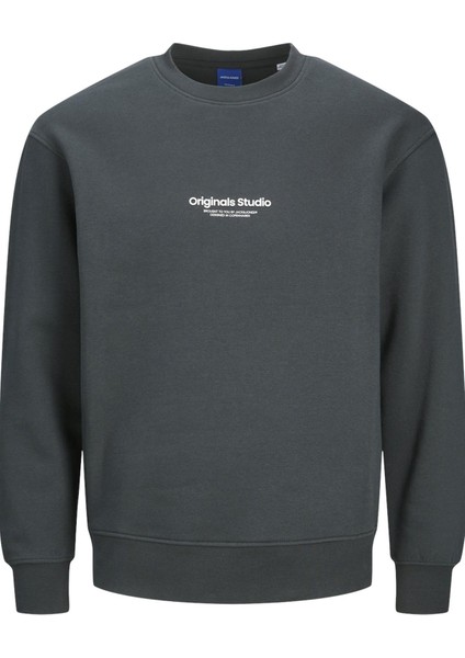 Jorvesterbro Sweat Crew Neck Noos Antrasit fiyatları