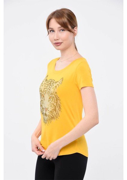 T-Shirt fiyatları