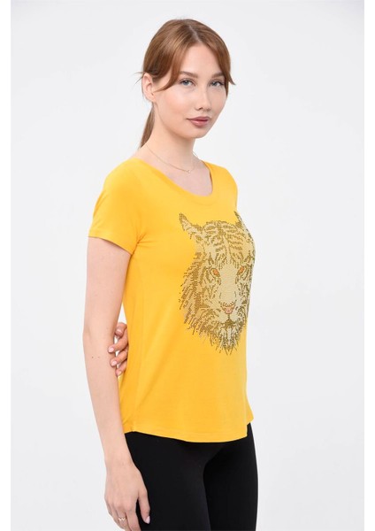 T-Shirt modelleri