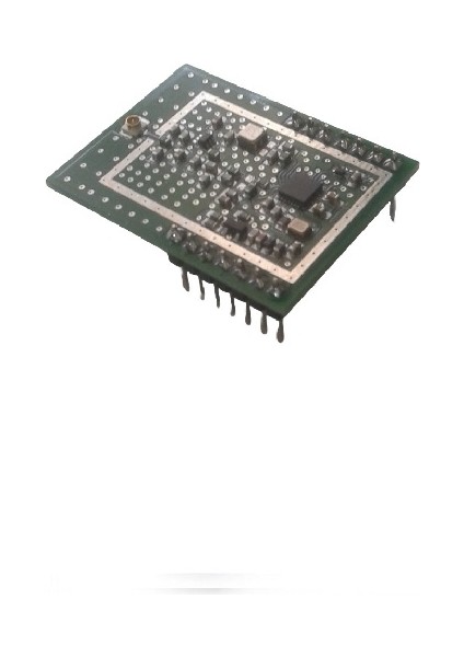 NTR09CFH4 433MHZ Rf Lora Transceiver Modülü (SX1262, Saw Filtre, Tcxo, +20DBM, U.fl Rf Konnektör)