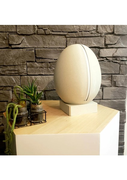 Gece Lambası fiyatları