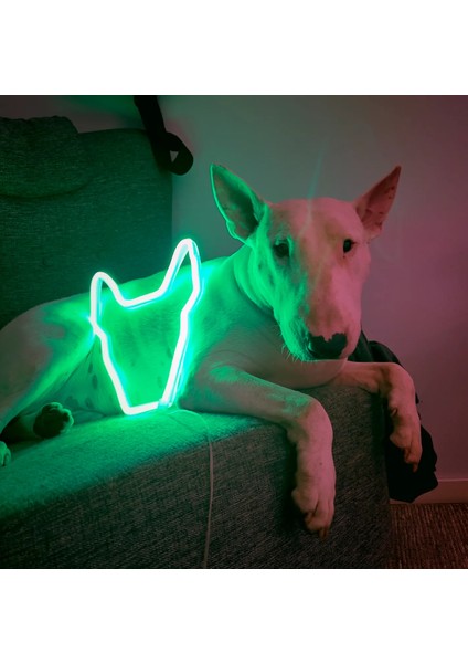 LED Işıklı fiyatları